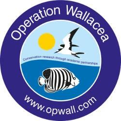 OpWall_circle_blue